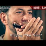 🎵🔥 Armonica Bluesband: El Emocionante Sonido del Blues que te Hará Vibrar 🎶💥