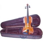 🎻💸 ¡Encuentra los mejores violines baratos! Guía de compra y recomendaciones