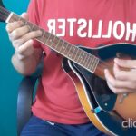 🎶 Descubre la magia de la 🎸 mandolina de 8 cuerdas acústica: guía completa y recomendaciones