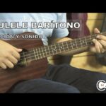 🎶🎸 Descubre los secretos del 🪕 Ukelele Barítono 🪕: ¡El instrumento perfecto para sonidos profundos y melodías únicas! 🎶🎵
