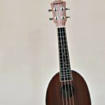 🎶🌟 Descubre el encanto del 🌼 Ukelele Greko 🎵: una joya musical llena de historia y melodía