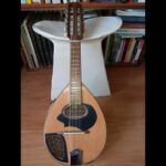 🎸 ¡Descubre la mejor oferta de venta de mandolina 🎶 10 cuerdas! 🤩
