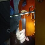 🎻 Descubre el encanto del violín Carlo Robelli: calidad y pasión en cada nota
