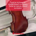 🎻 ¡Haz música con estilo! Descubre el excepcional violín Gewa 4/4 🎶