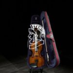 🎻 Descubre el increíble sonido del Violin Stentor 4/4 – ¡Una joya para los amantes de la música!
