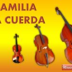 🎻 ¡Descubre todo sobre los Violines Grandes! ¿Cómo se llaman y dónde encontrarlos? 🎶