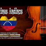 🎻 Descubre la magia de los violines venezolanos: historia, sonido y tradición